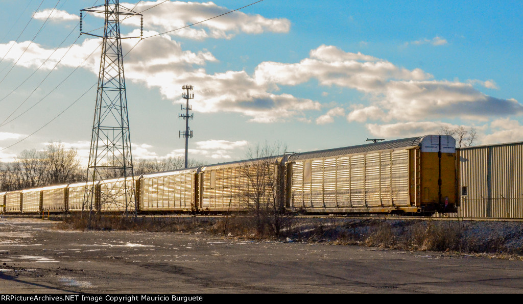 Autoracks train in the yard